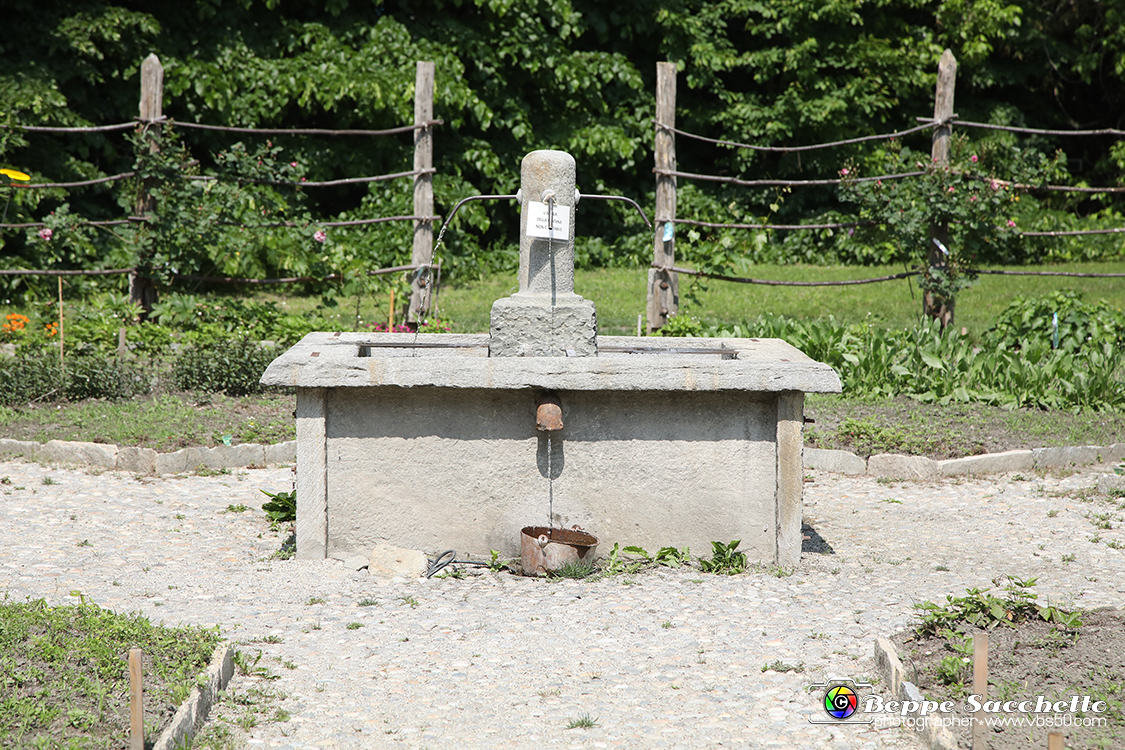 VBS_1481 - Castello di Miradolo - Mostra Oltre il giardino l'Abbecedario di paolo Pejrone.jpg